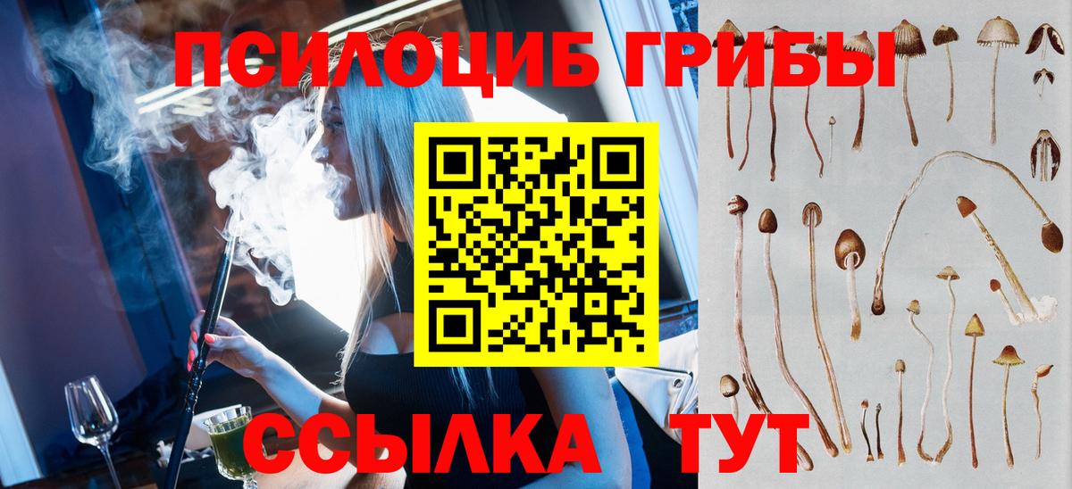 Псилоцибиновые грибы мухоморы  Псилоцибиновые грибы Psilocybine cubensis  Вход с VPN  Нурлат 