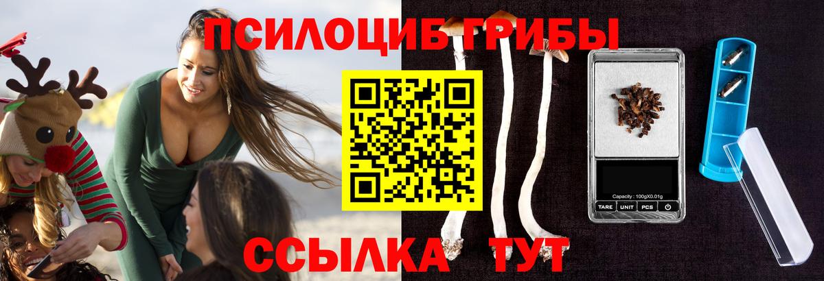 Галлюциногенные грибы Psilocybe Нурлат